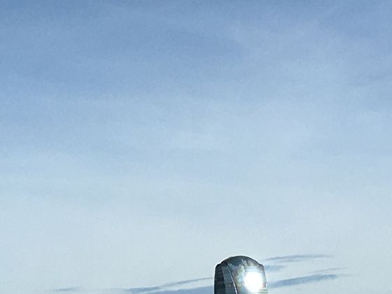 不同种类海龟的生活习性差异：从绿海龟到棱皮龟，它们的饮食与栖息地有何不同