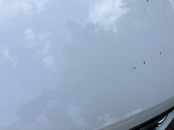 梅雨季节湿度爆表？背后的气象学原理其实很有趣