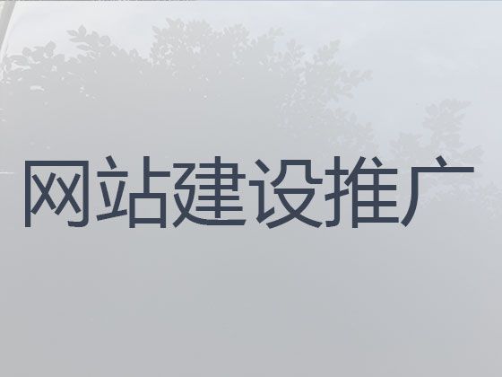 迪庆网站设计建设|购物网站开发，收费透明