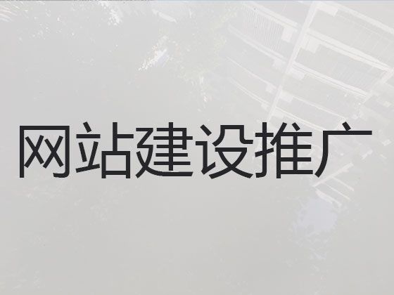 天津市专业网站设计开发-苹果手机app开发，网站制作