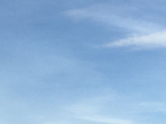 近视防控不止戴眼镜：聊聊眼睛调节功能与日常用眼习惯的密切关系