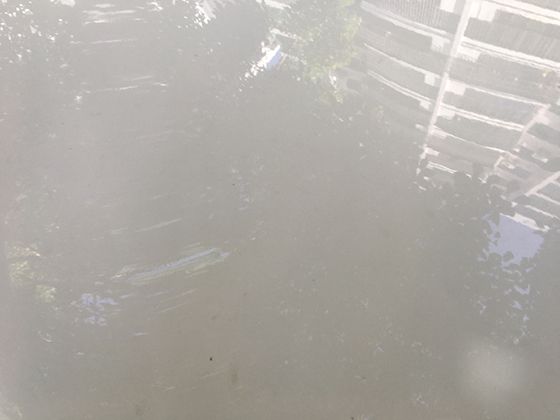 足球比赛中那些复杂的战术阵型，背后有着怎样的历史演变和战术逻辑