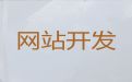 内江市资讯网站设计制作-网站搜索引擎优化，定制开发