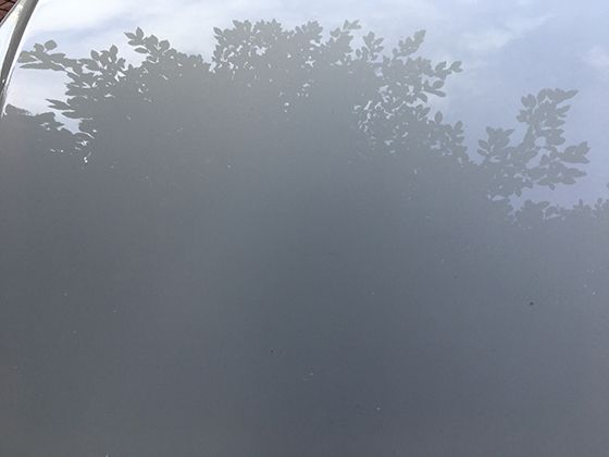 介绍游泳时不同泳姿对身体各部位肌肉的锻炼侧重及呼吸配合技巧