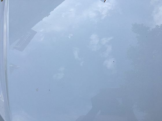从草原到沙漠：非洲象迁徙背后鲜为人知的生态适应策略