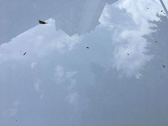 双打比赛和单打比赛在战术配合上有哪些本质区别？这些技巧值得学习